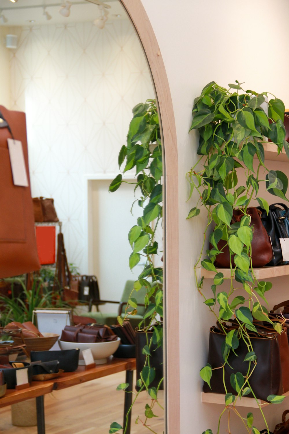 a room filled with lots of shoes and plants