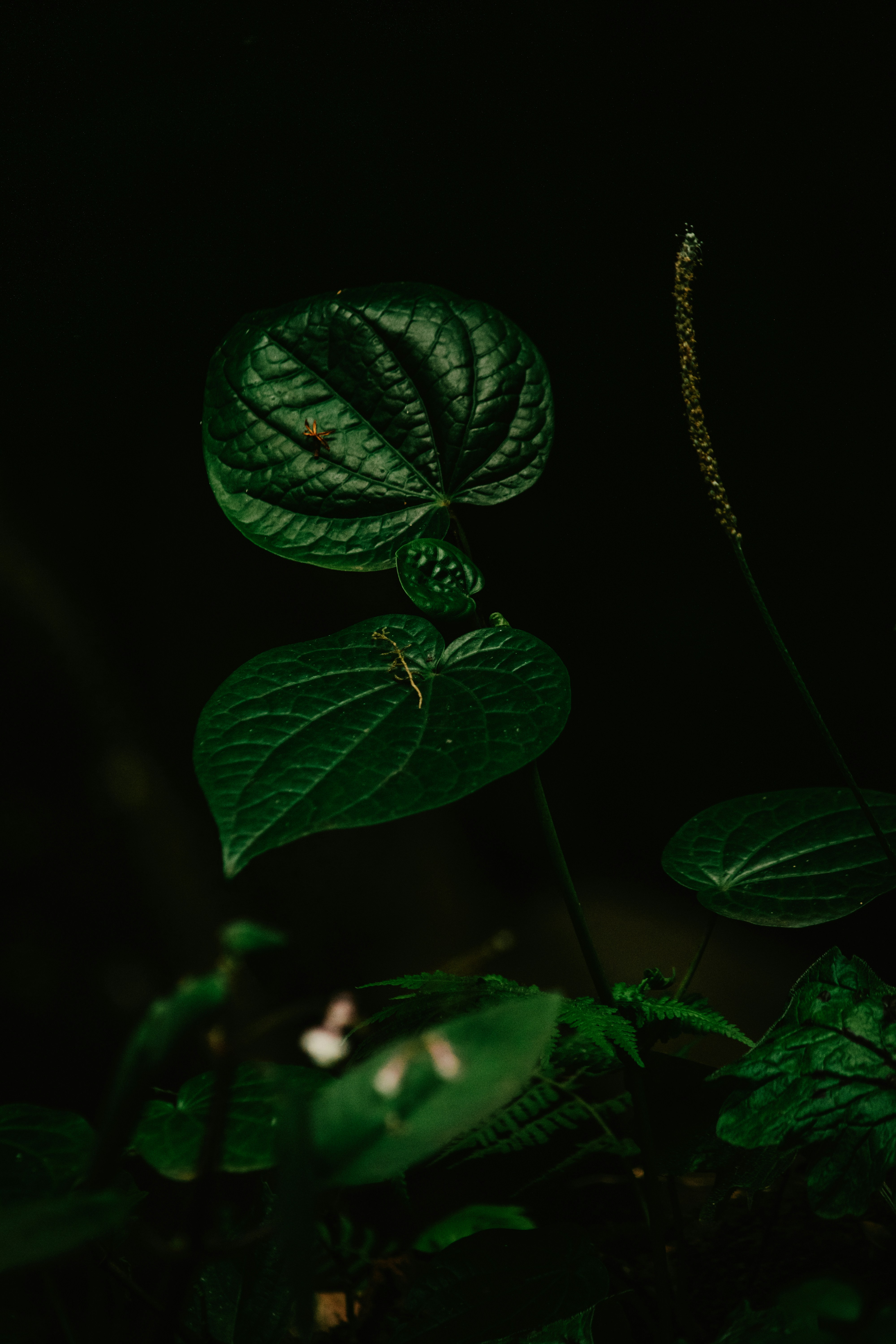 Photo by utunzajiwamazingira