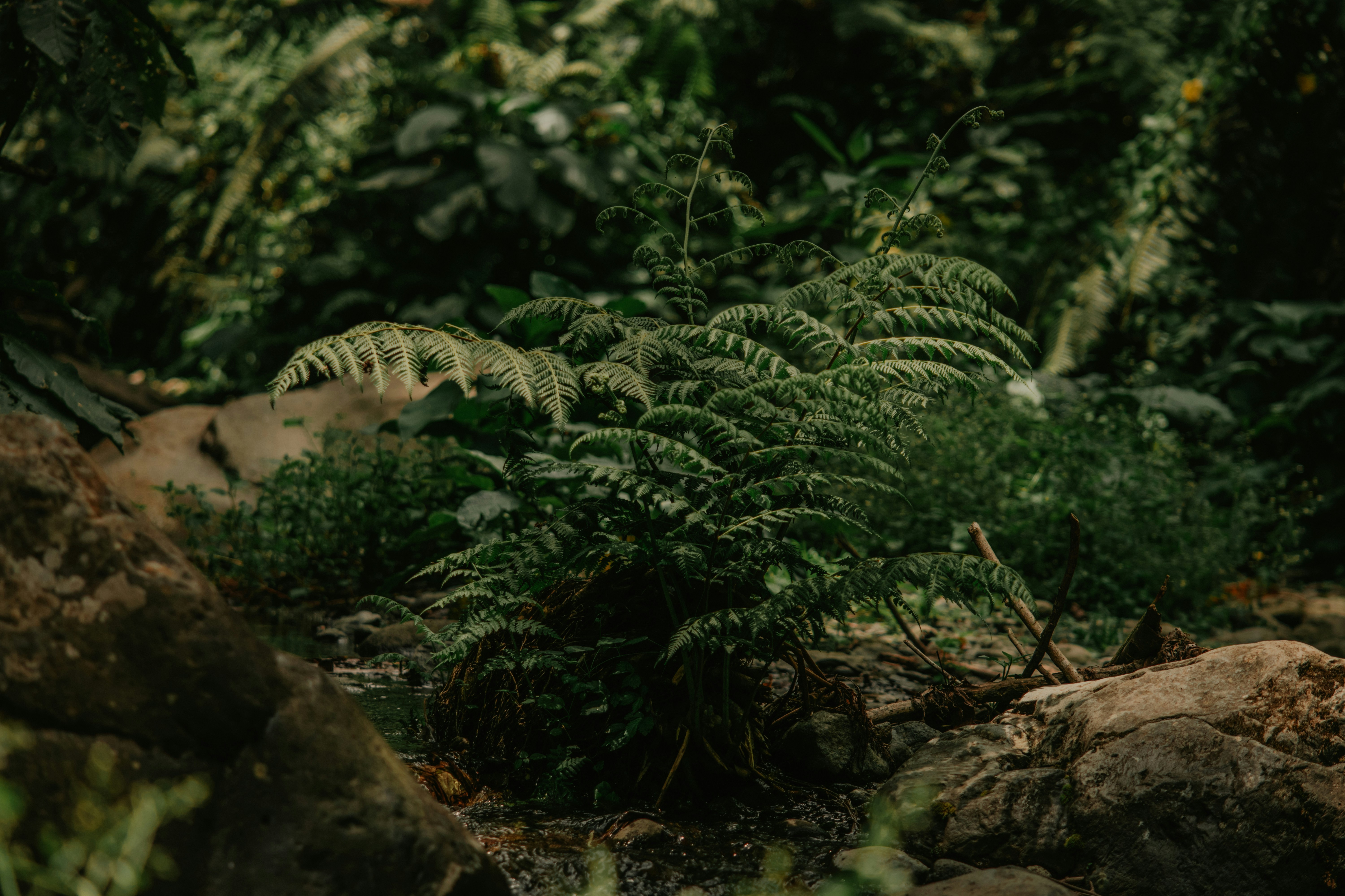 Photo by utunzajiwamazingira