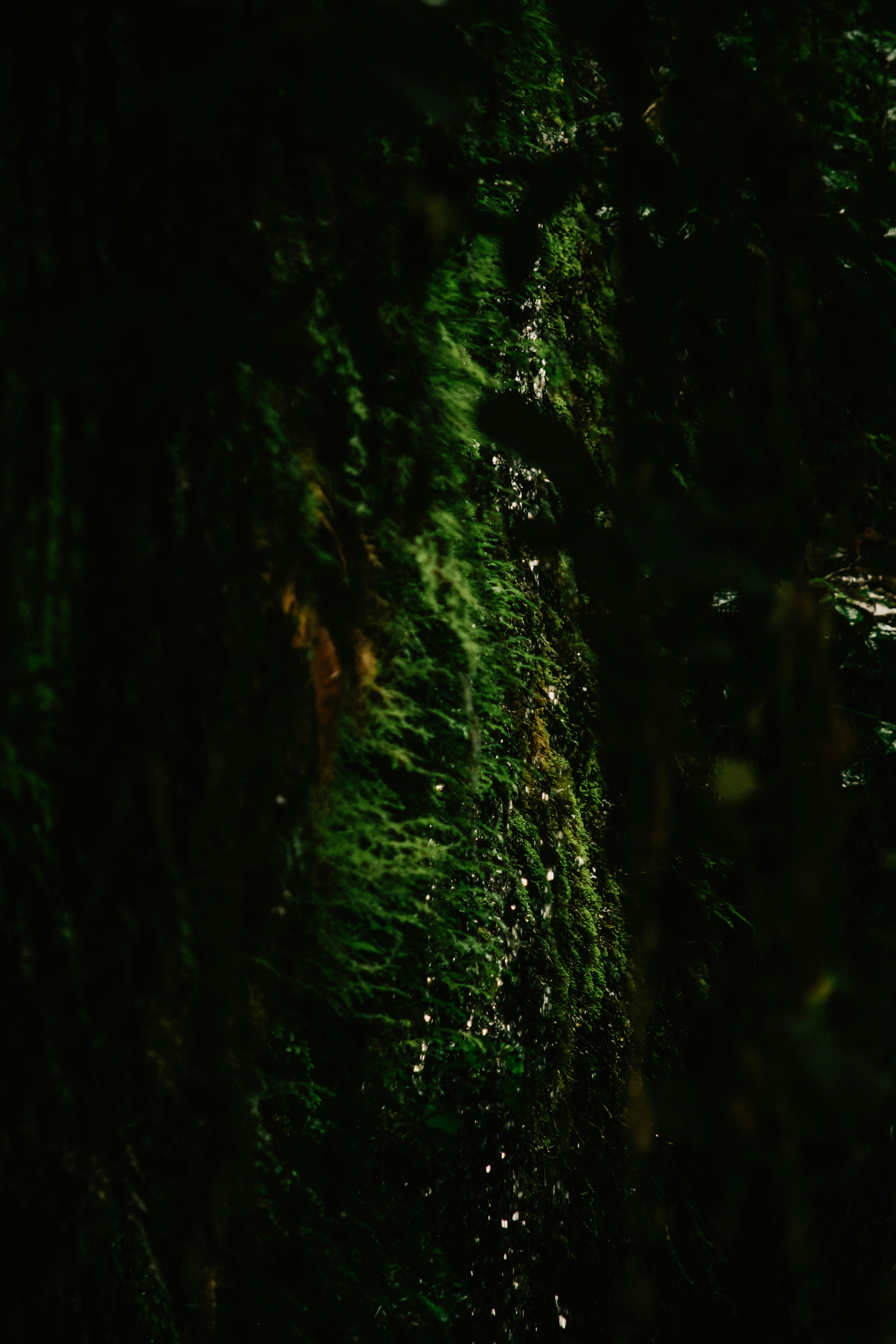 Photo by utunzajiwamazingira