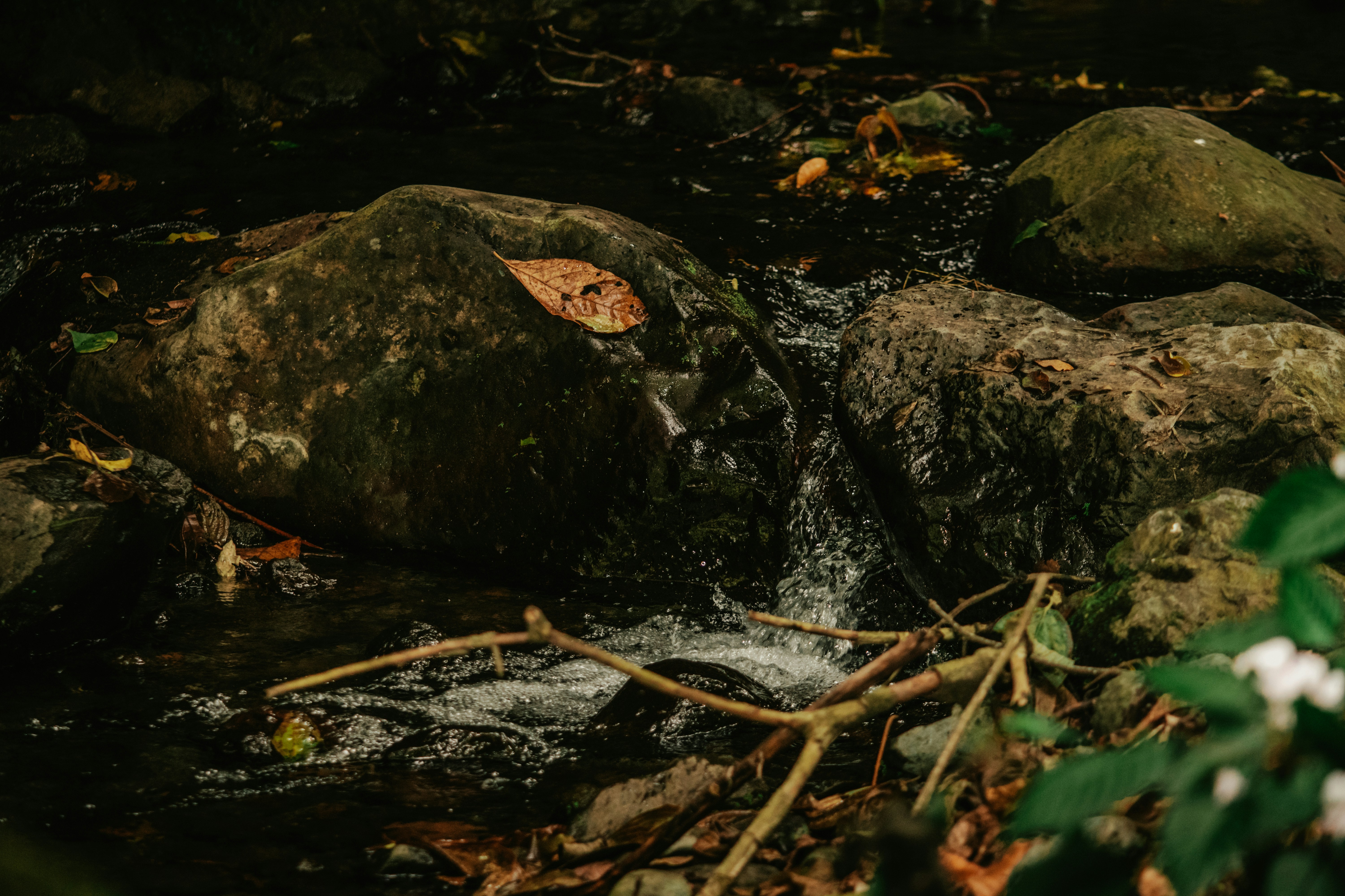 Photo by utunzajiwamazingira