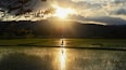 the sun is setting over a rice field