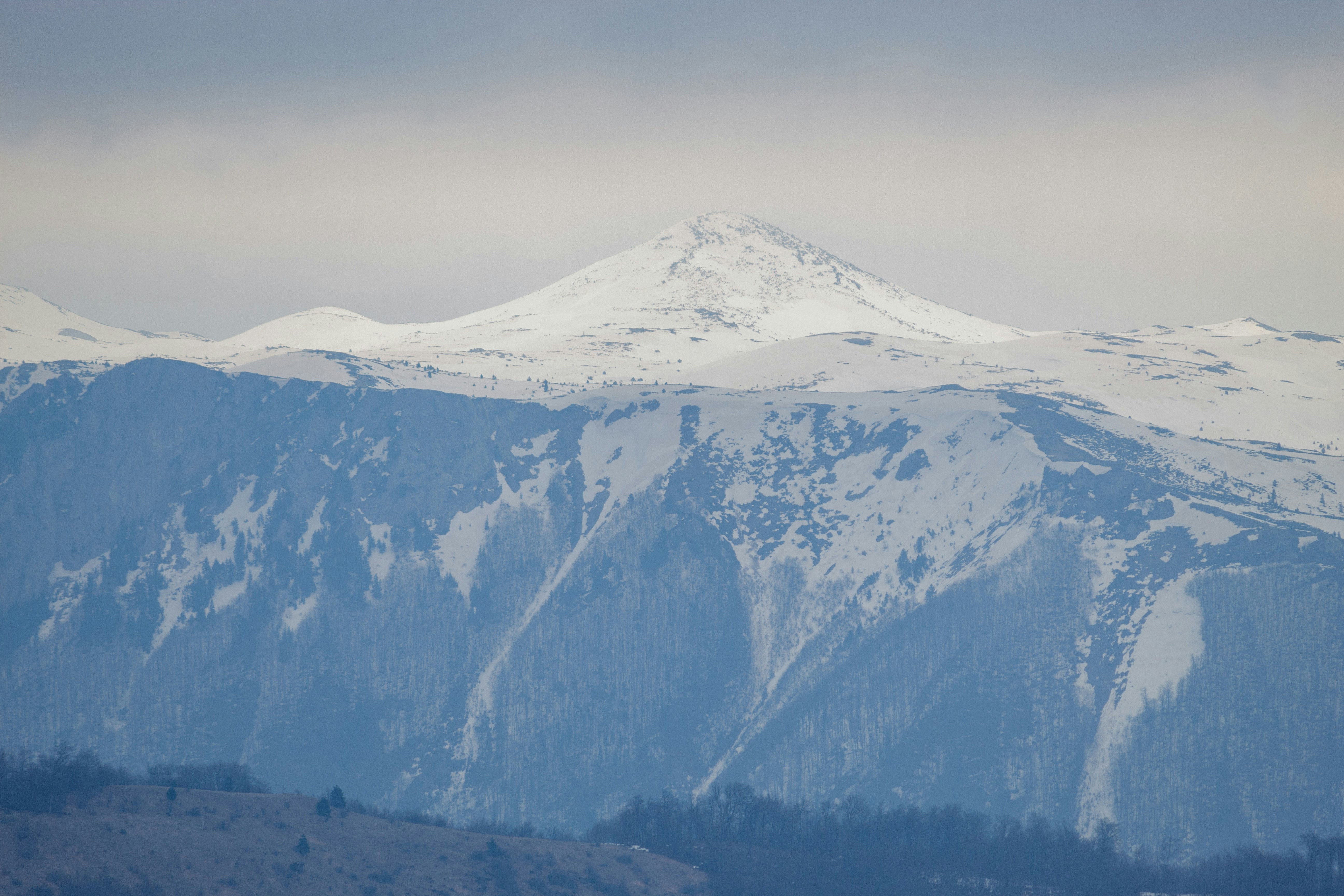 Photo by sporisevicphotography