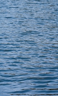 Rippling water surface with blue hues and gentle waves.