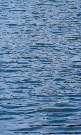 Rippling water surface with blue hues and gentle waves.