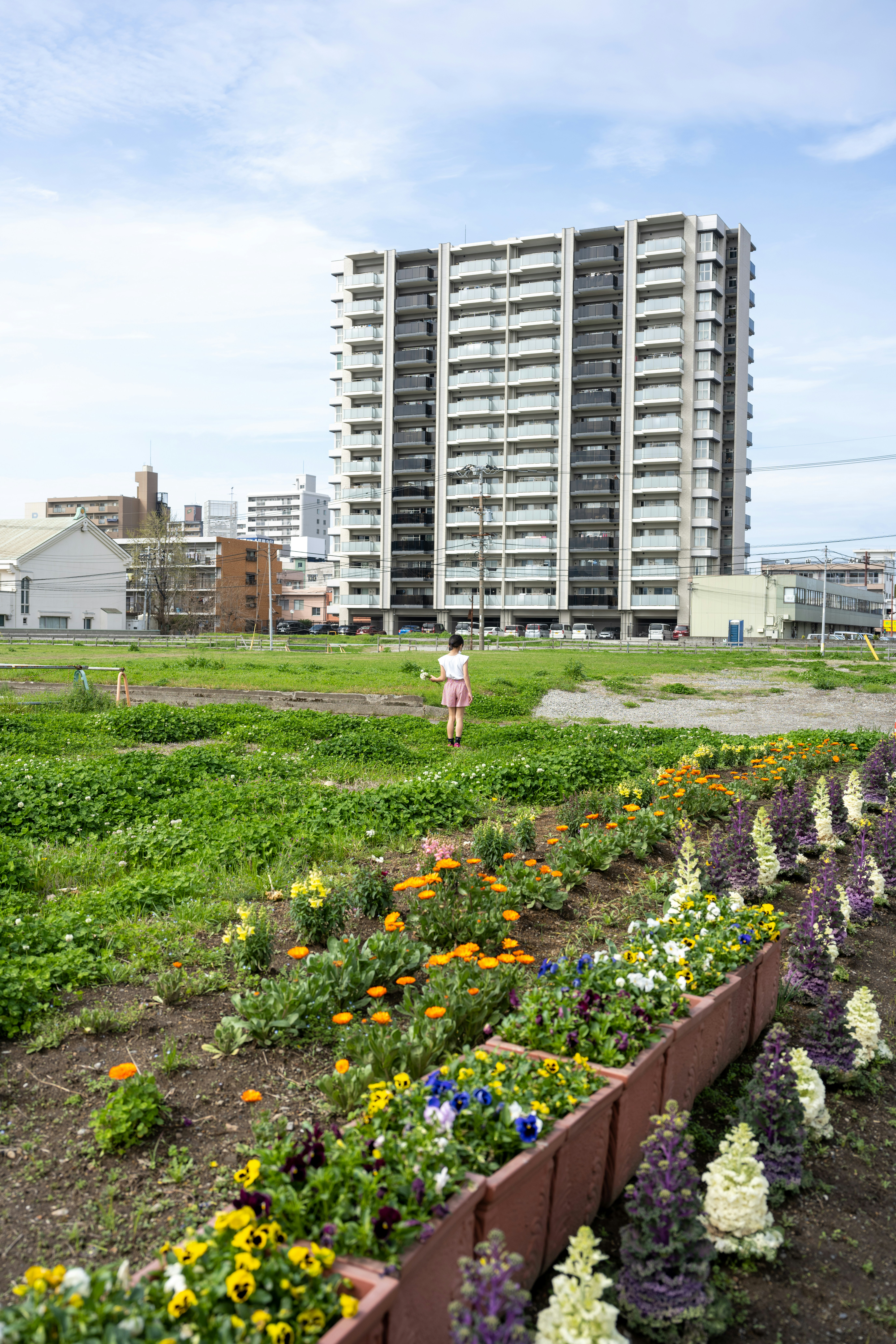 a woman standing in the middle of a field of flowers