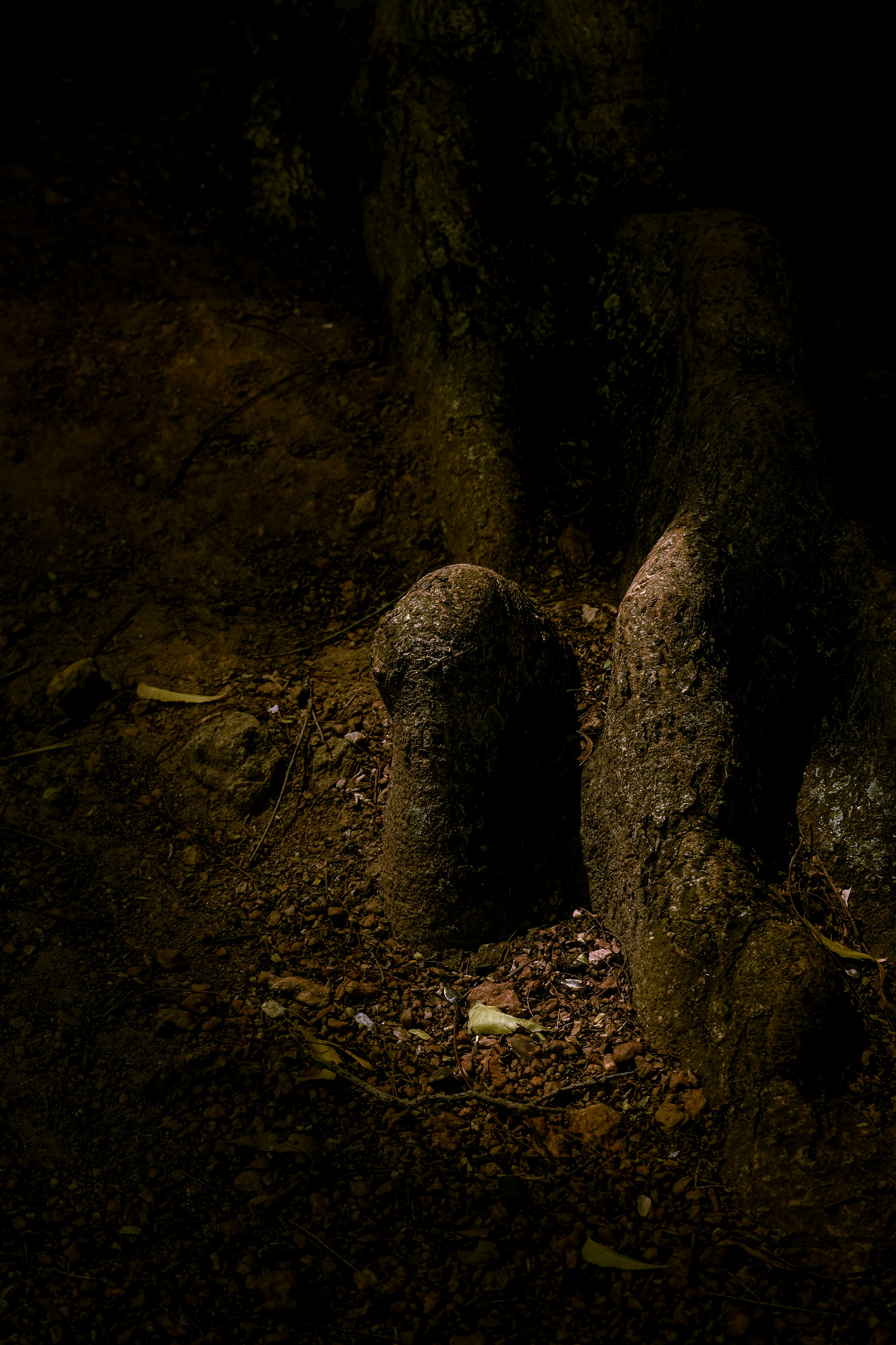 土の中にあるいくつかの岩