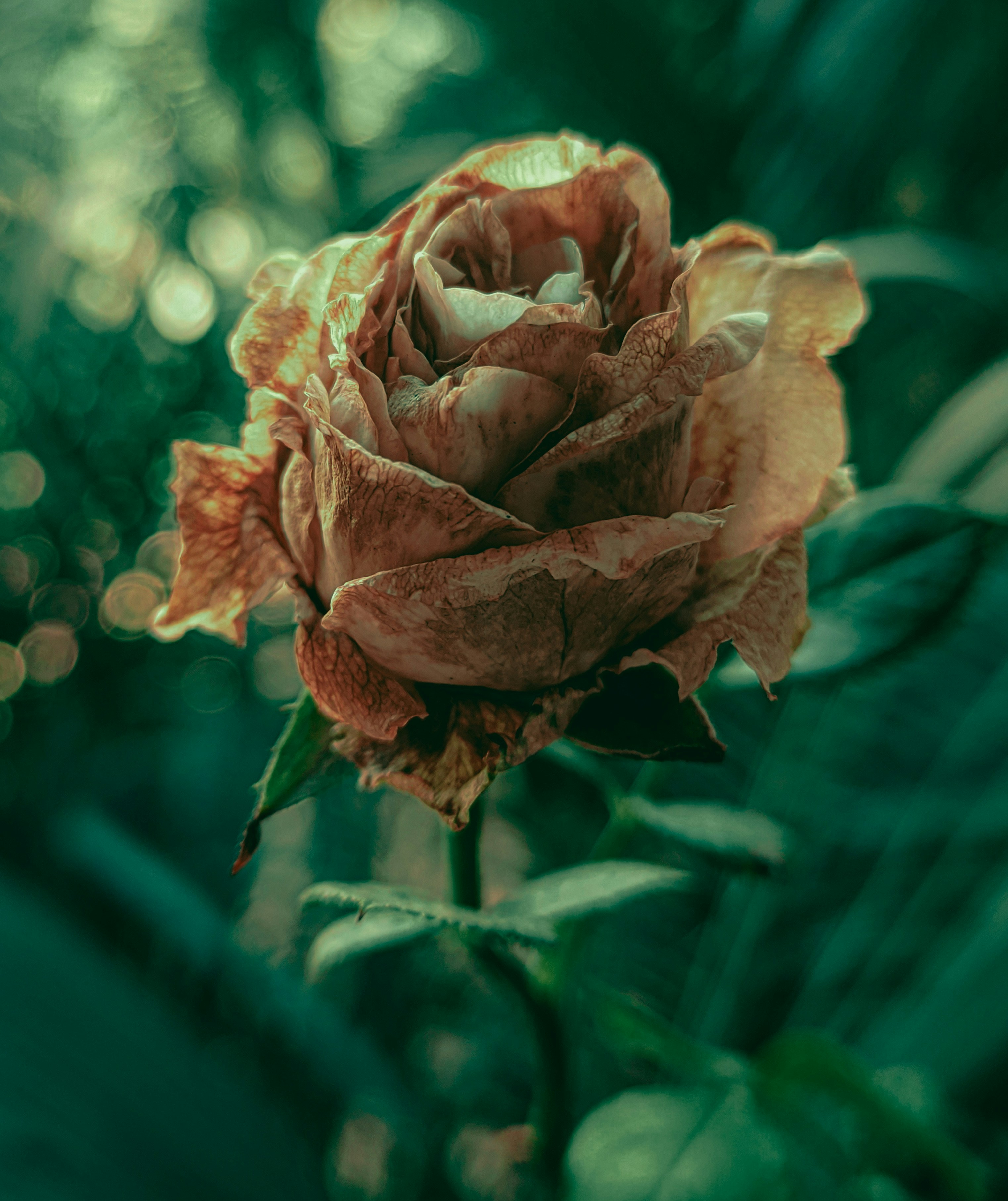 Photo by aman_shikalgar06