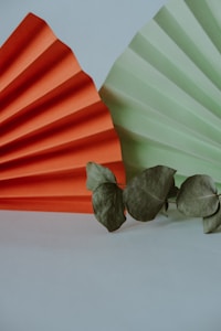 Two folded paper fans, one orange and one green, stand upright against a muted background. A small sprig of dried leaves rests in front of them.