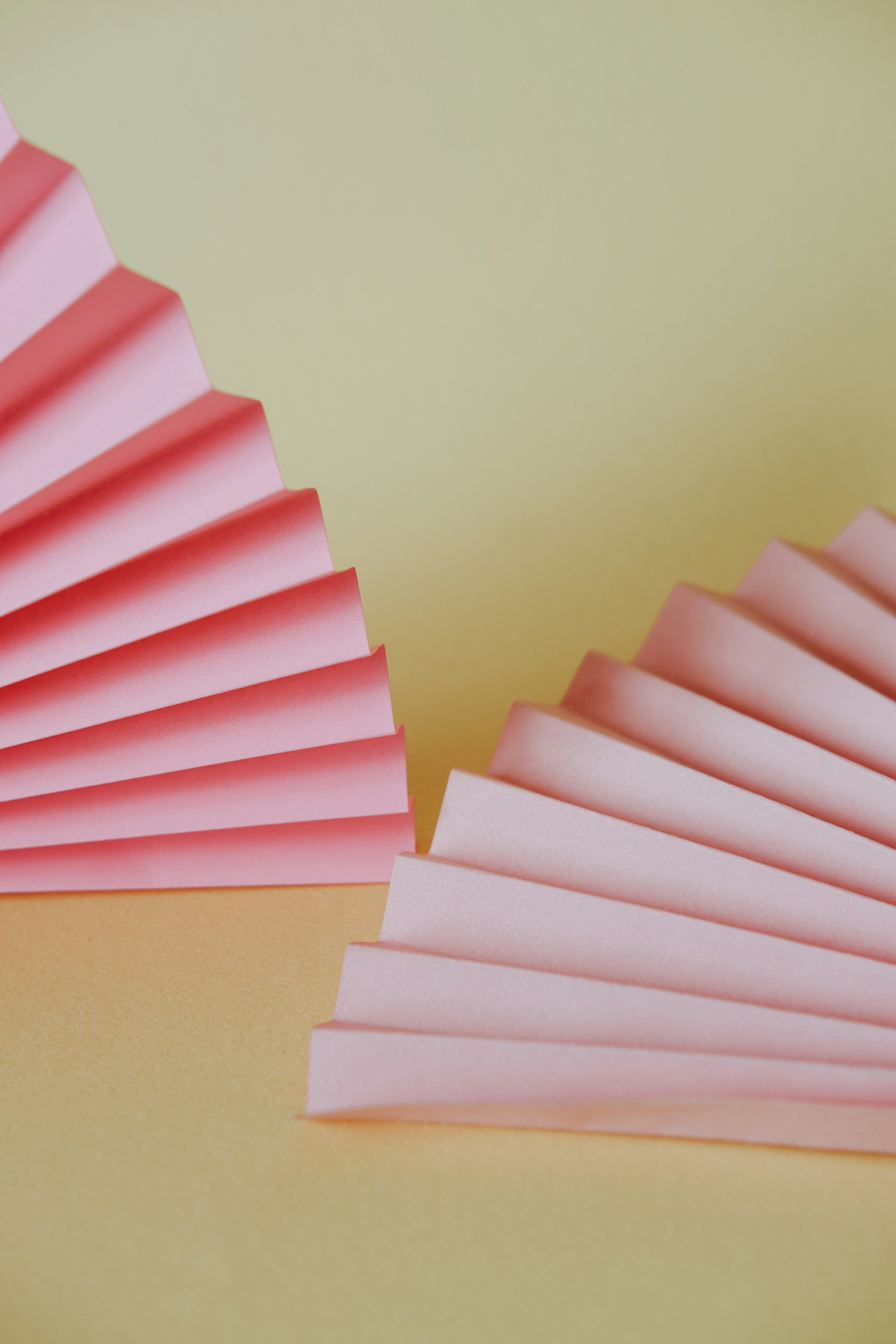 Photo by beyzaayurtkuran