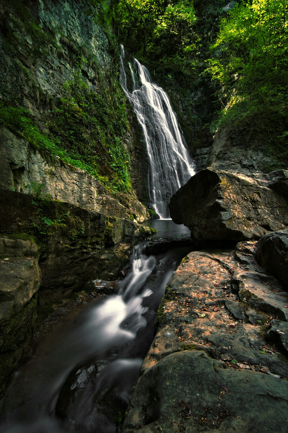 a waterfall in the middle of a lush green forest