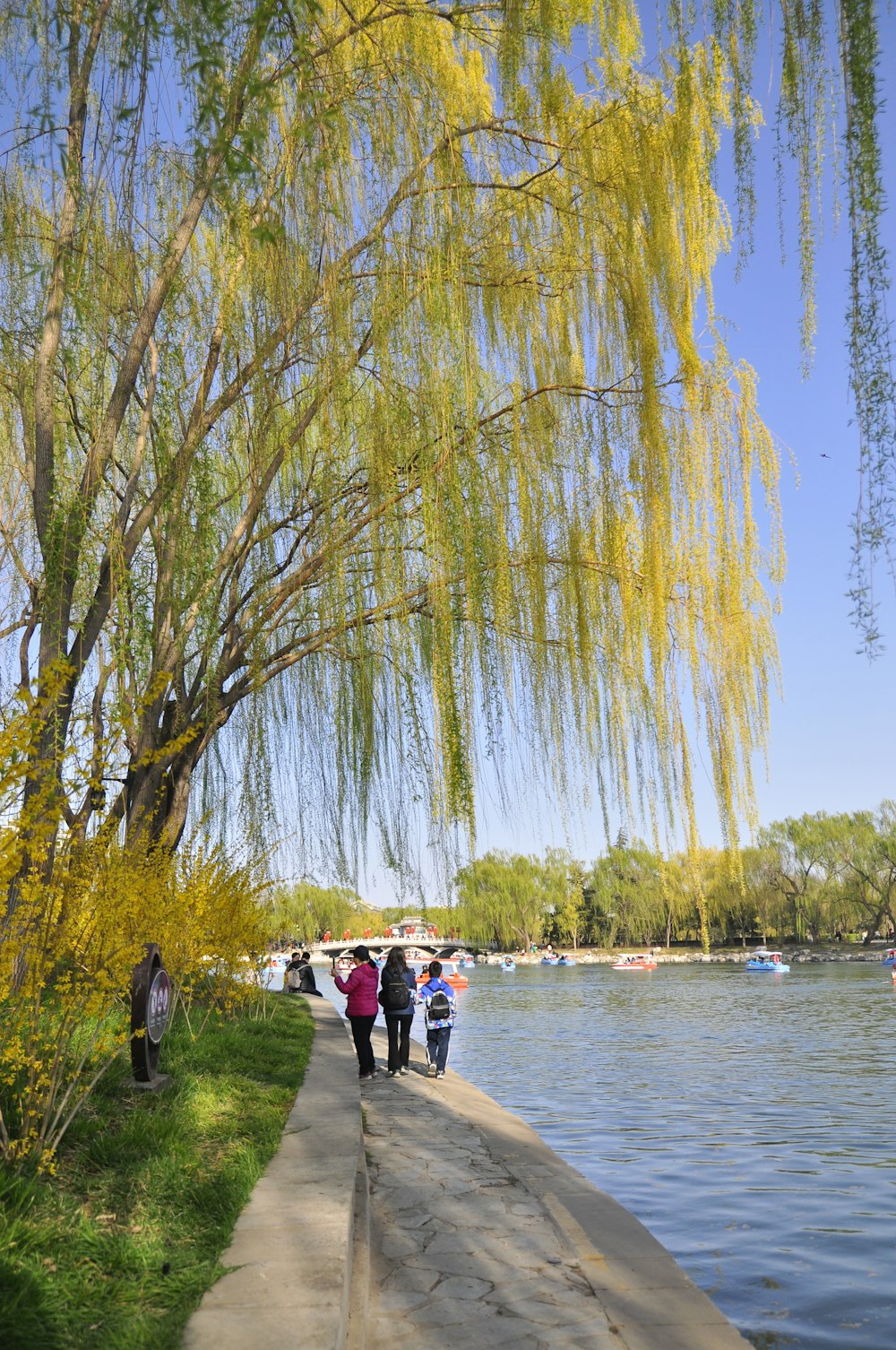 a group of people walking down a sidewalk next to a lake