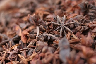 a close up of a pile of spices