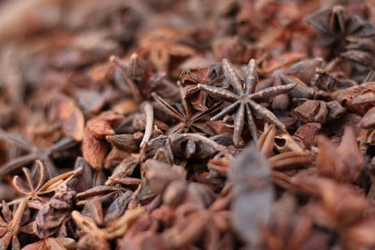 a close up of a pile of spices