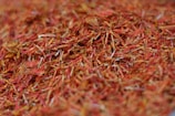 A close-up view of numerous dried saffron strands with a rich, vibrant red and orange hue.