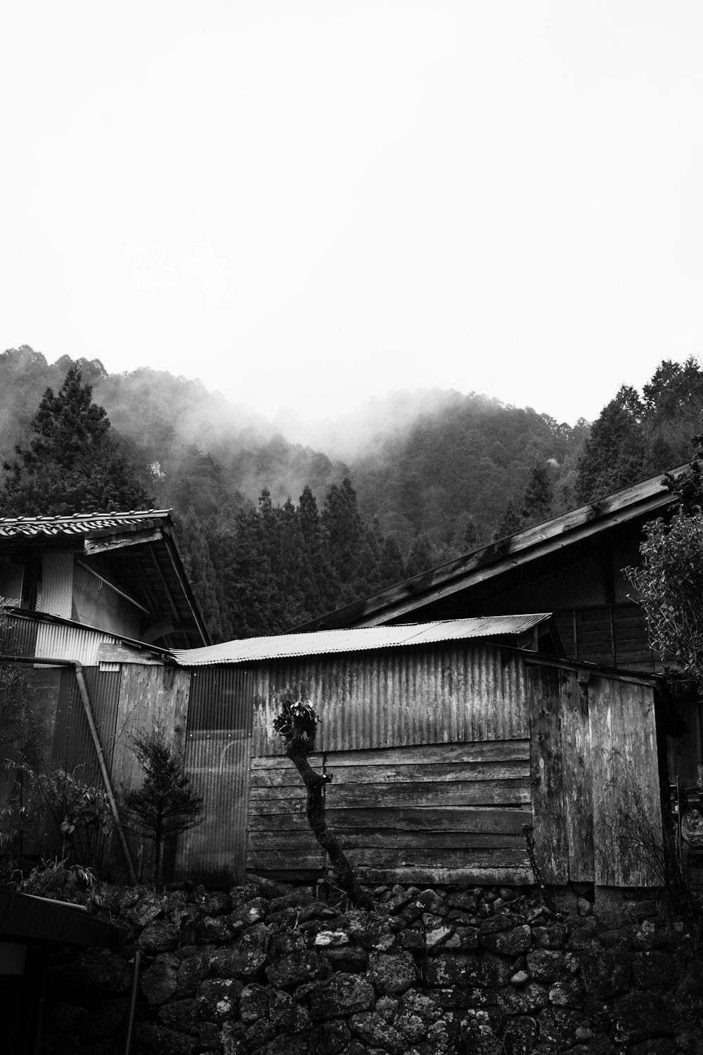 Una foto en blanco y negro de una casa con montañas al fondo