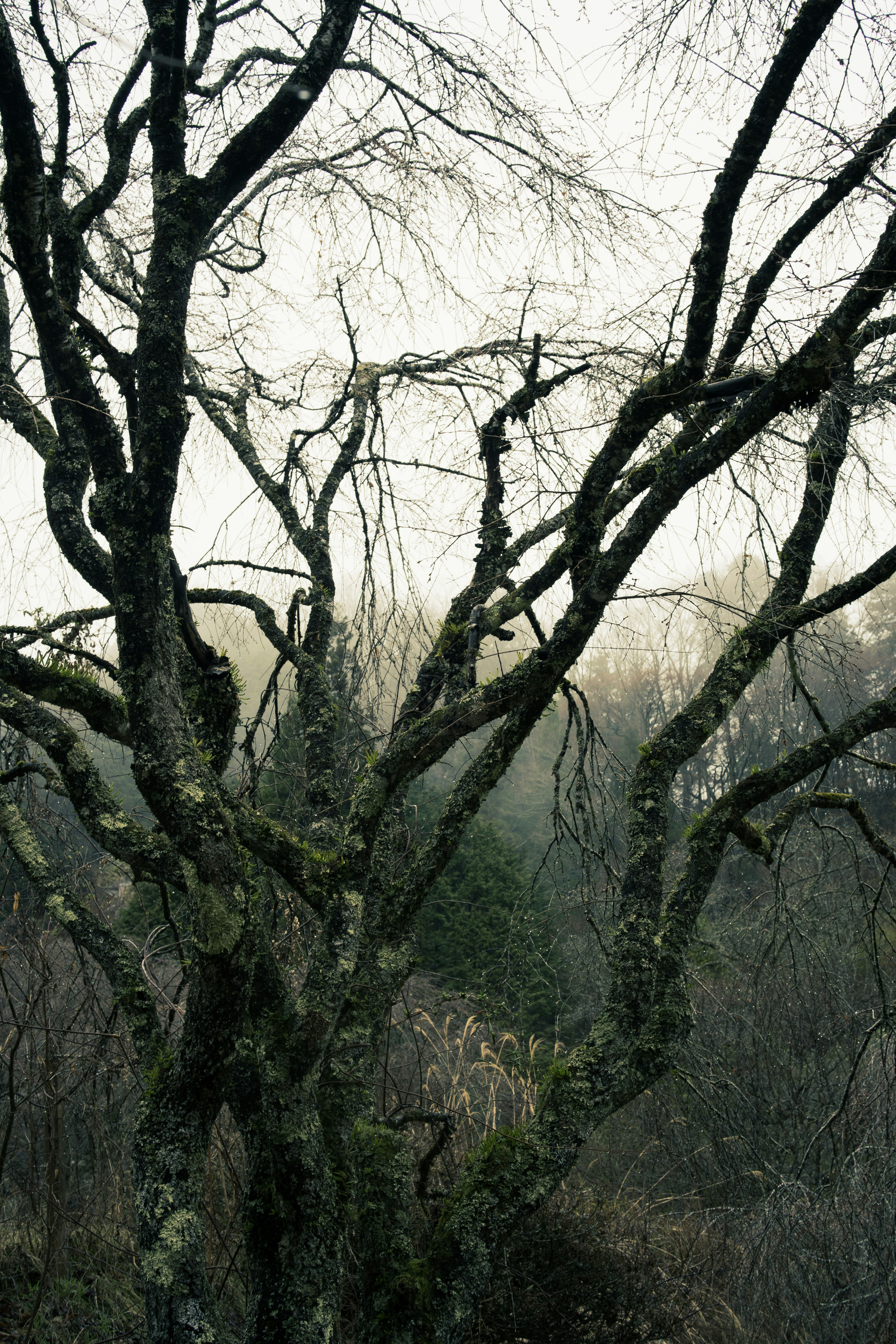 Photo by fabianbaechli