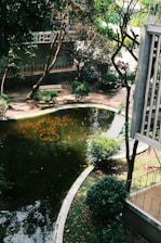 A tranquil outdoor scene featuring a small, clear pond with numerous orange fish swimming near the surface. Surrounding the pond are neatly trimmed bushes and trees providing ample shade. A white bench is situated on a paved path beside the pond, with a modern building partially visible in the background. The sunlight filters through the leaves, casting dappled patterns on the ground.