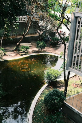 A tranquil outdoor scene featuring a small, clear pond with numerous orange fish swimming near the surface. Surrounding the pond are neatly trimmed bushes and trees providing ample shade. A white bench is situated on a paved path beside the pond, with a modern building partially visible in the background. The sunlight filters through the leaves, casting dappled patterns on the ground.