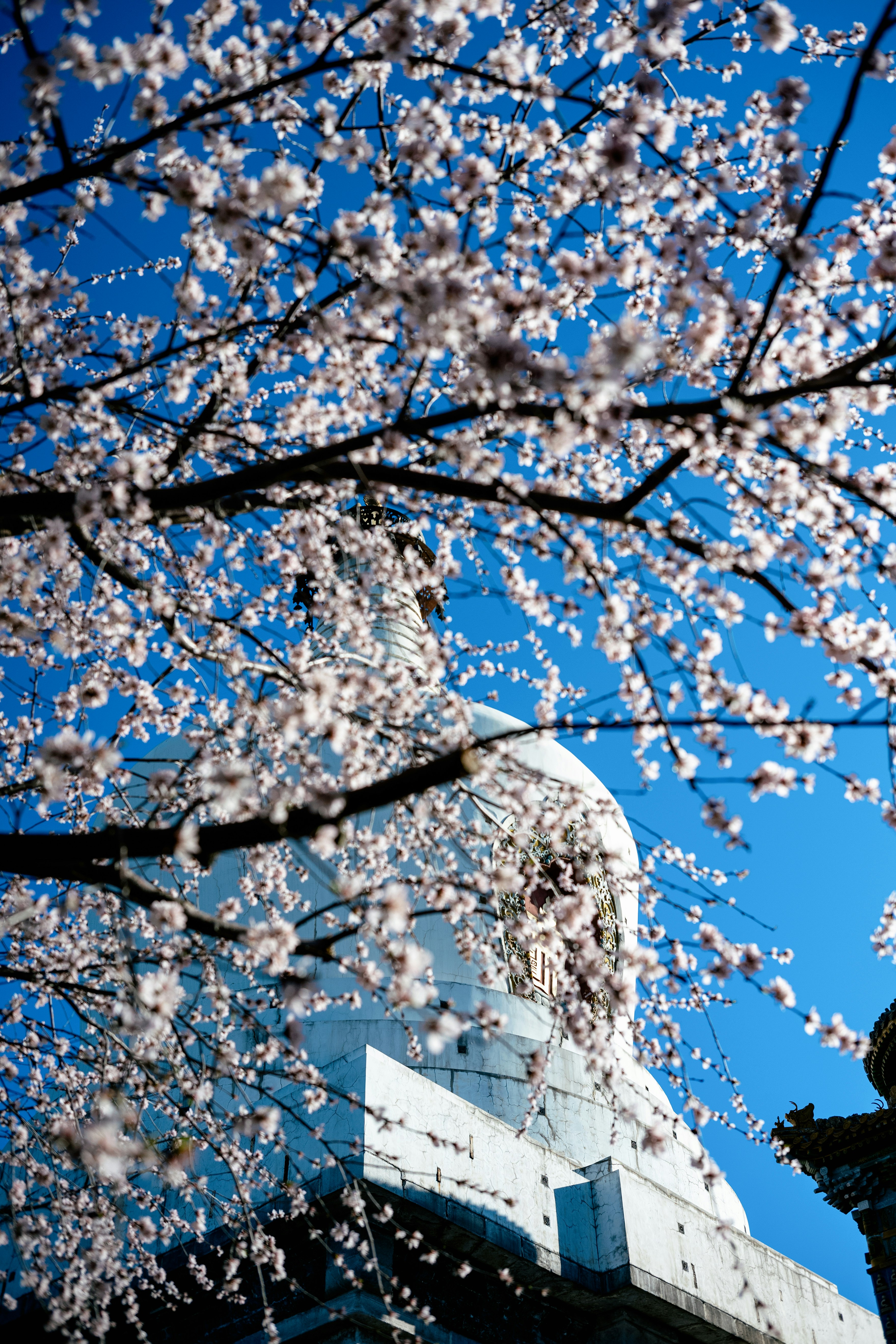 Photo by tommaomaoer