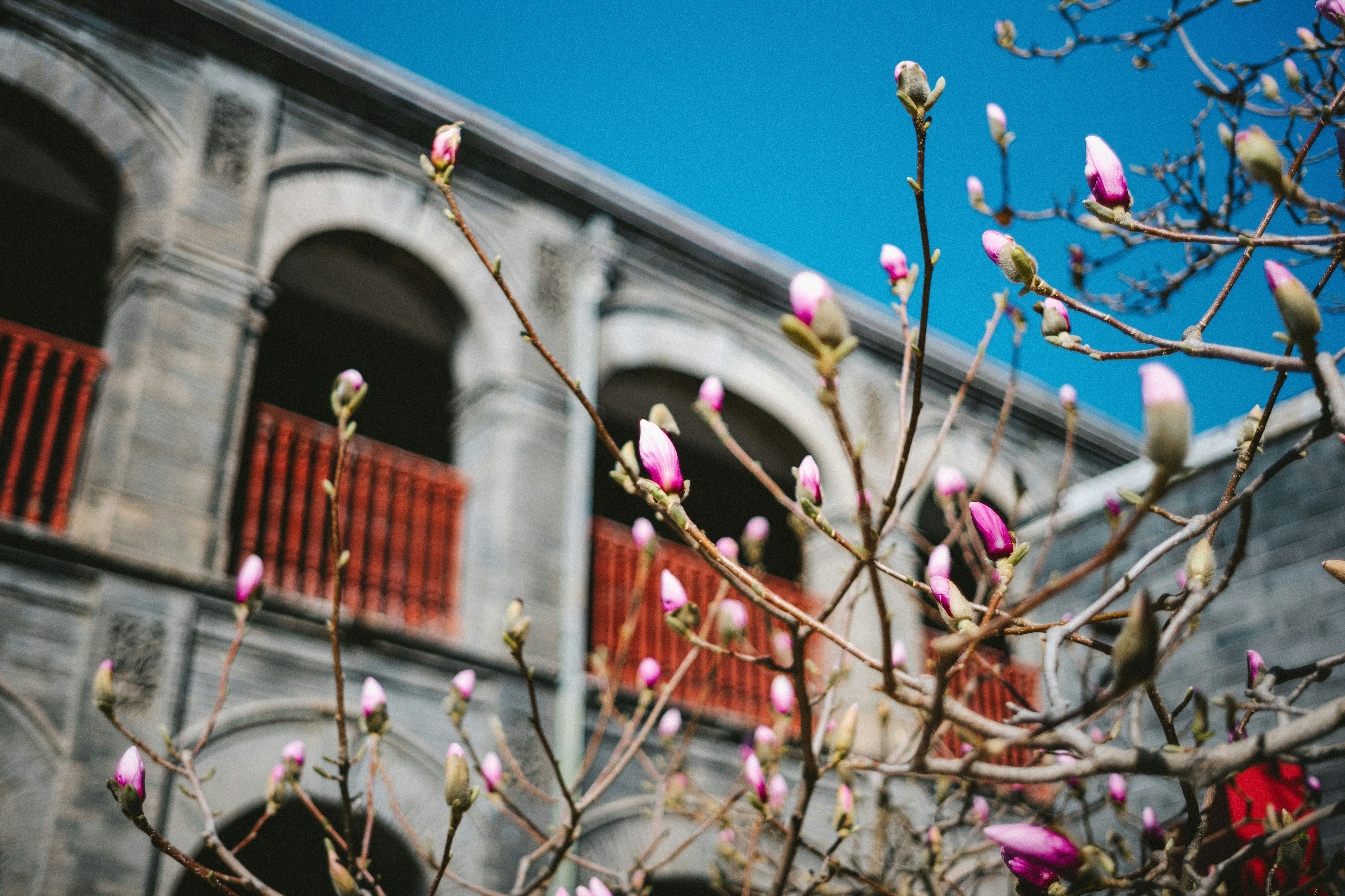 Photo by tommaomaoer