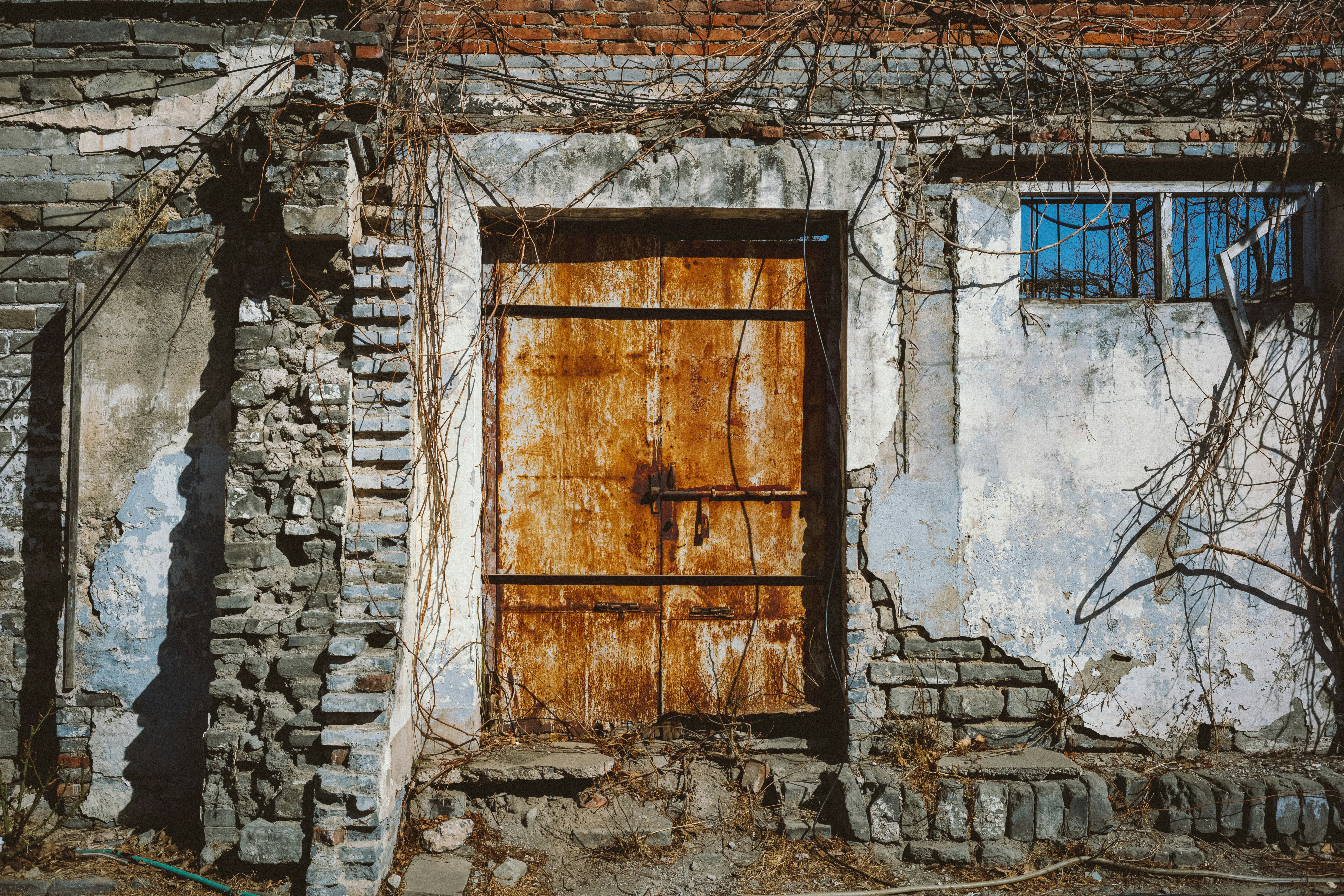 Photo by tommaomaoer