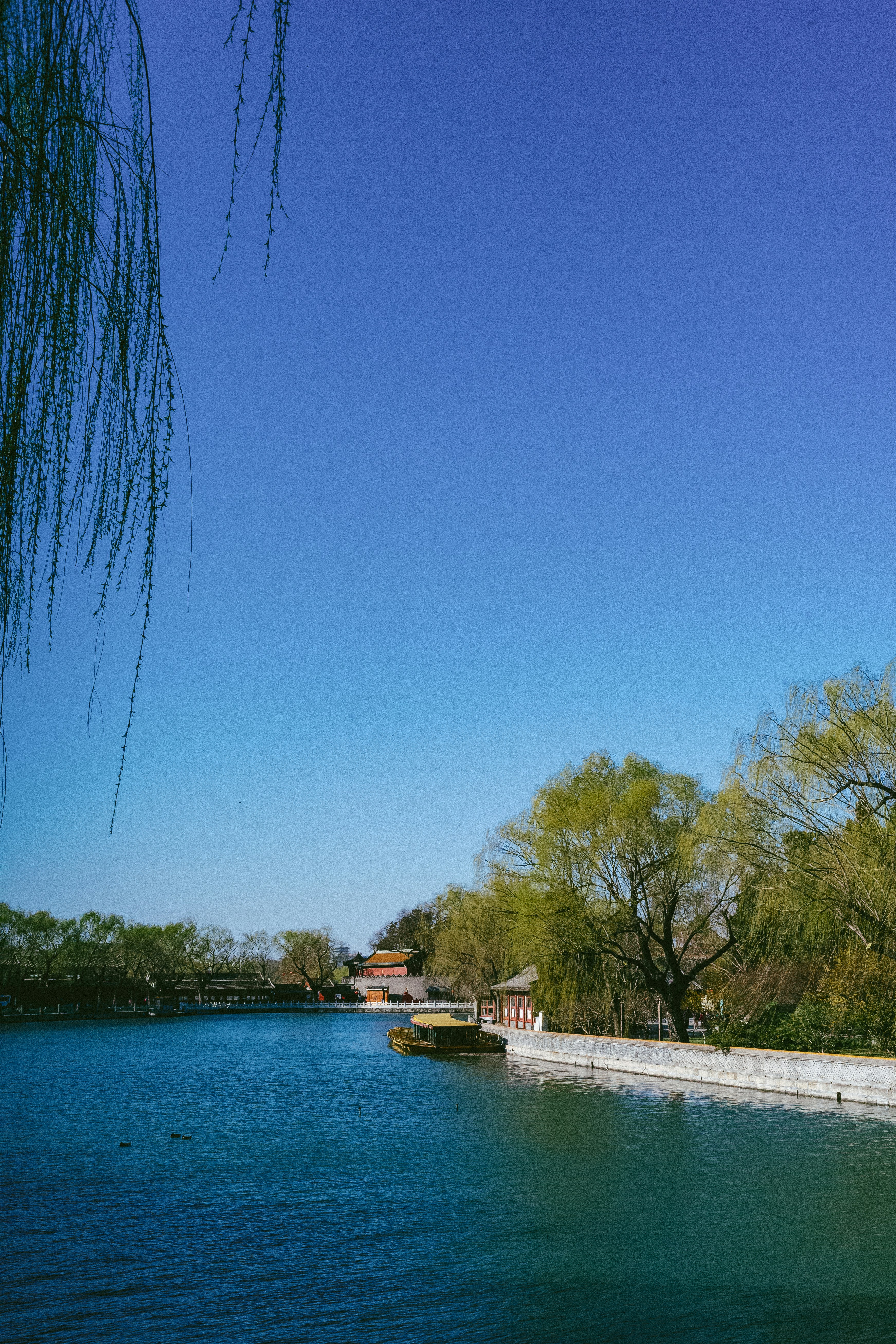 Photo by tommaomaoer