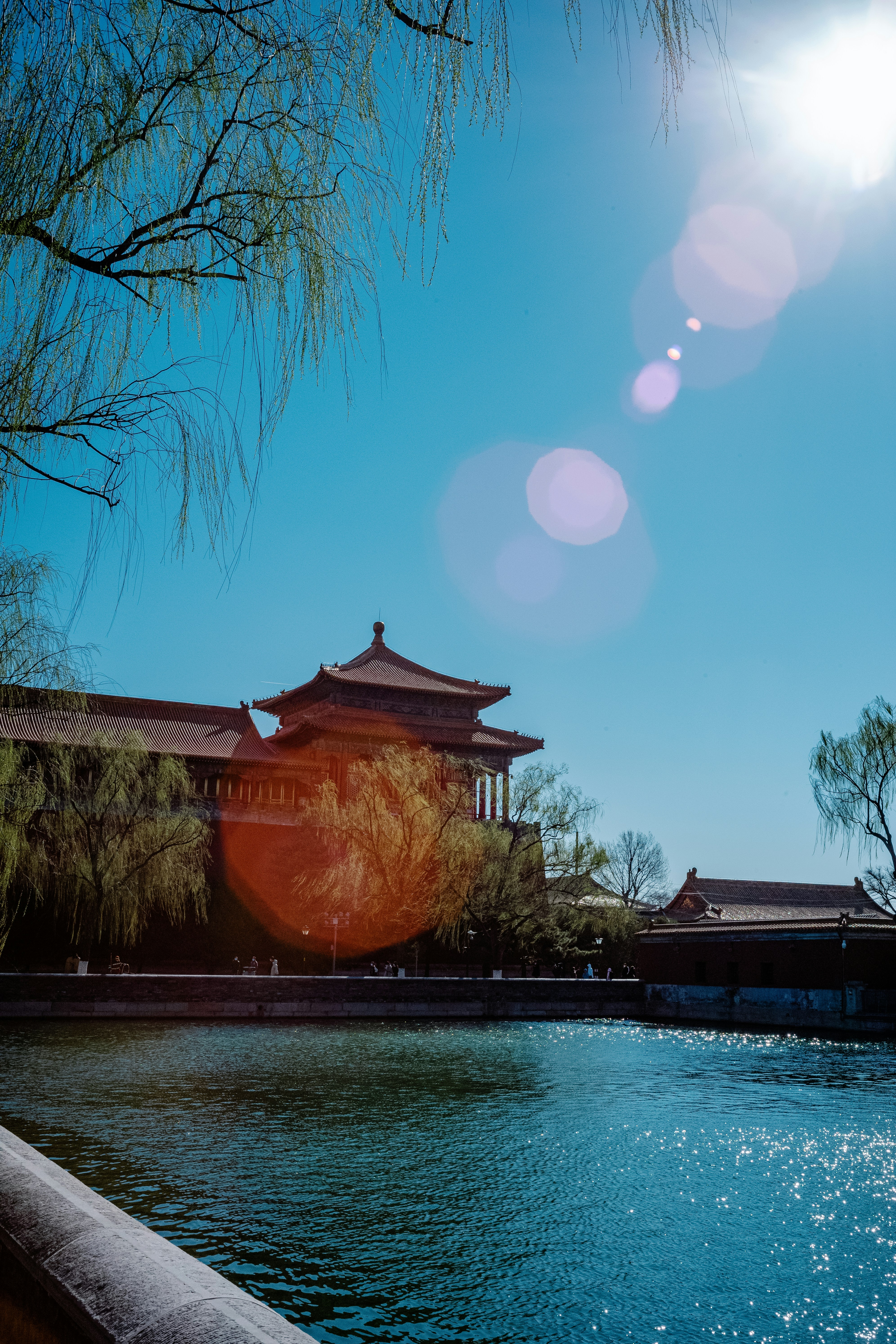 Photo by tommaomaoer