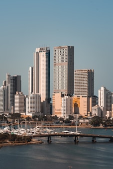 A cityscape featuring modern high-rise buildings with sleek architecture. A marina with numerous yachts and sailboats is situated in the foreground, alongside a bridge over a body of water. Lush greenery adds a touch of nature to the urban setting.