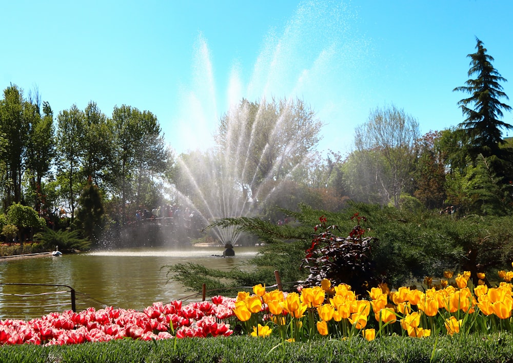 a fountain spewing water into a pond surrounded by flowers