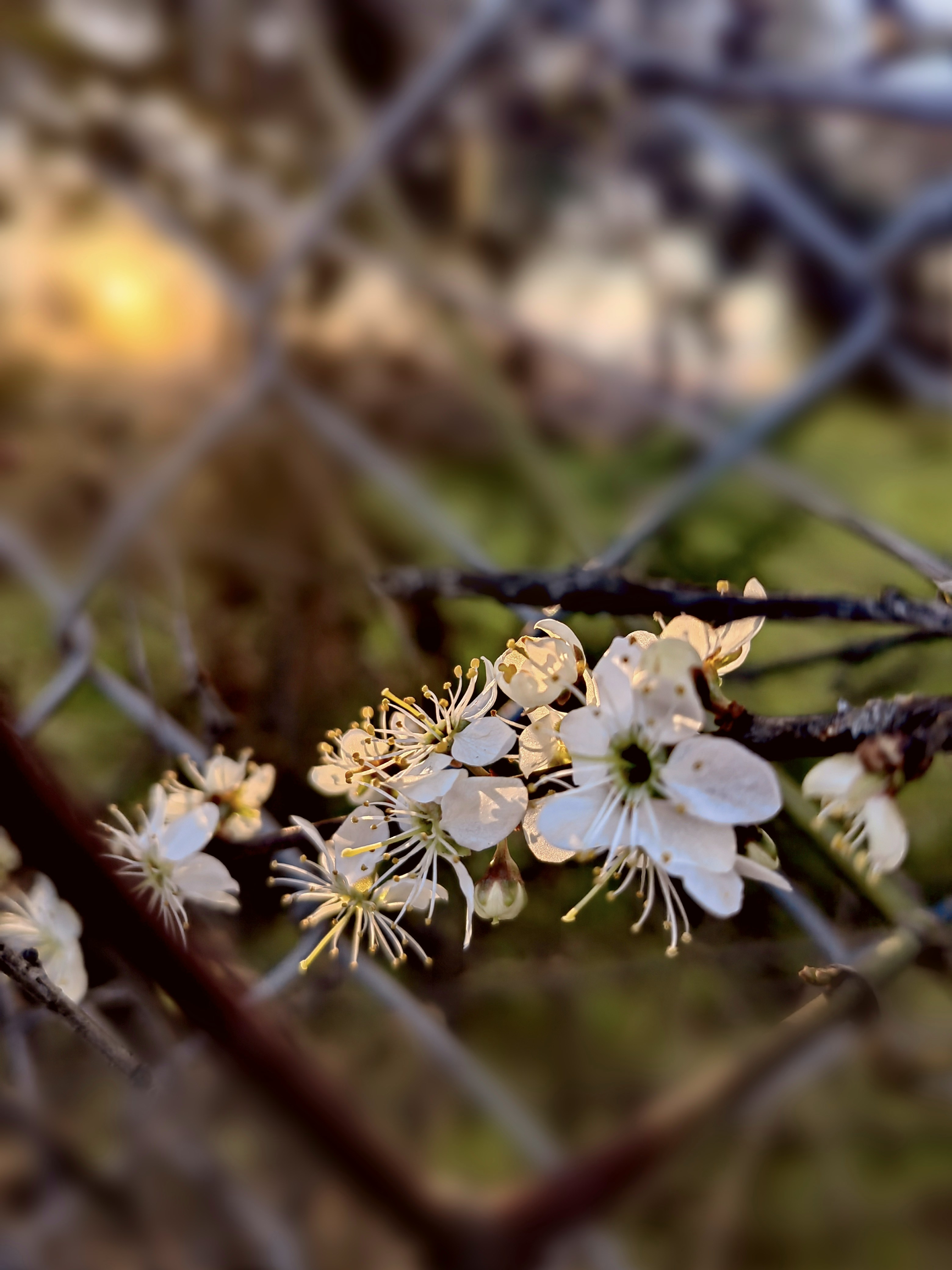 Photo by andrei_7654