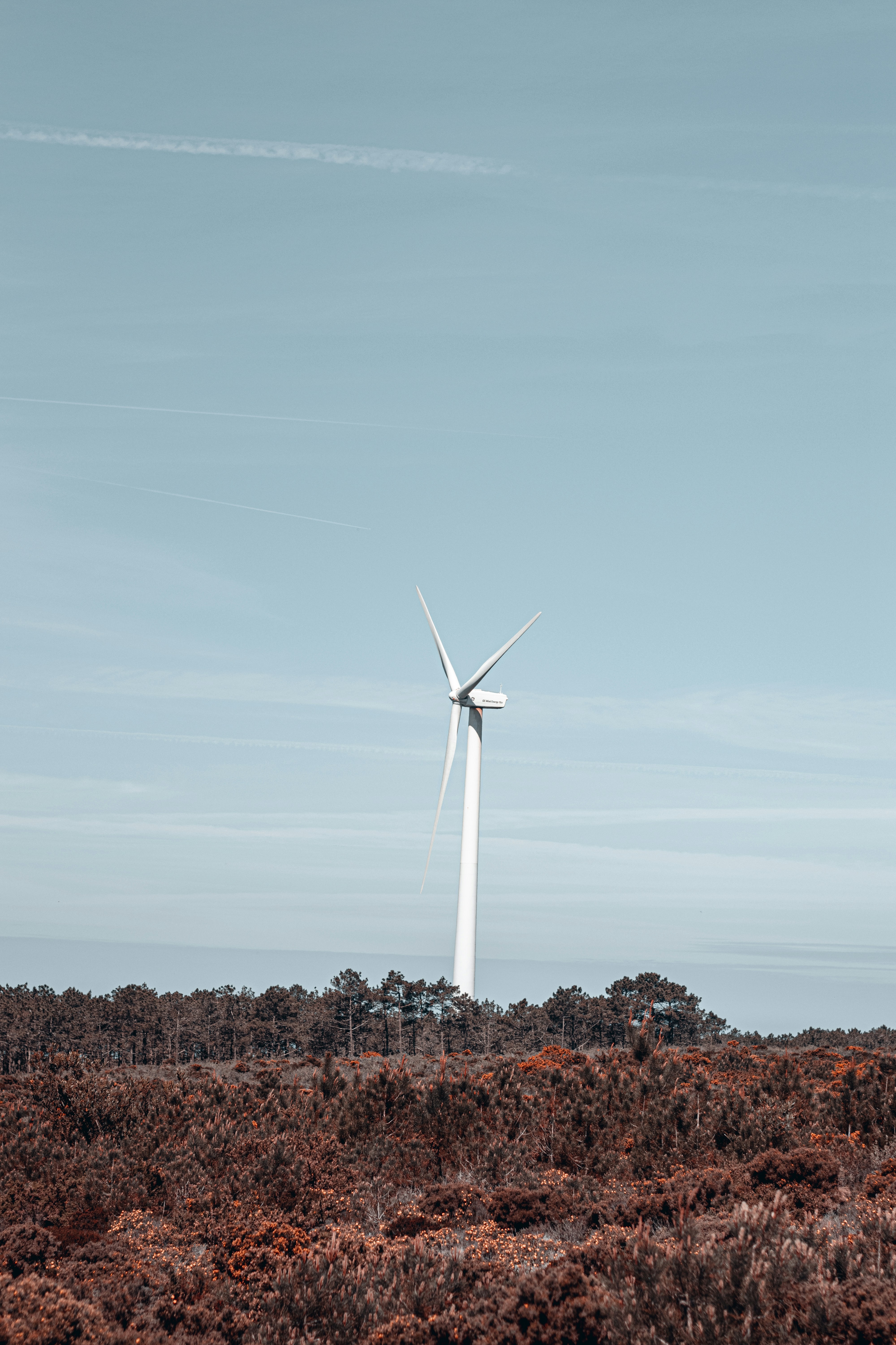 Photo by vadym_alyekseyenko