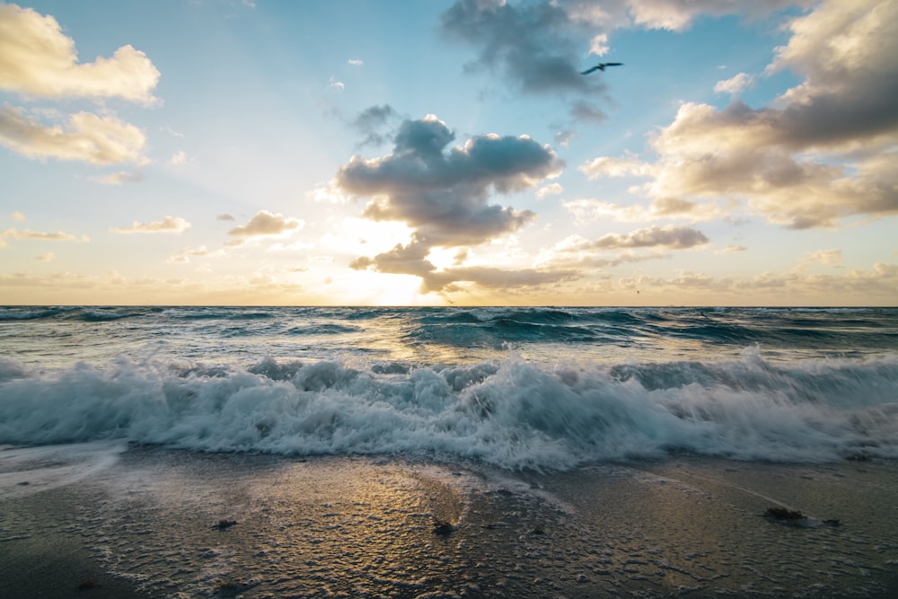 a bird flying over the ocean at sunset