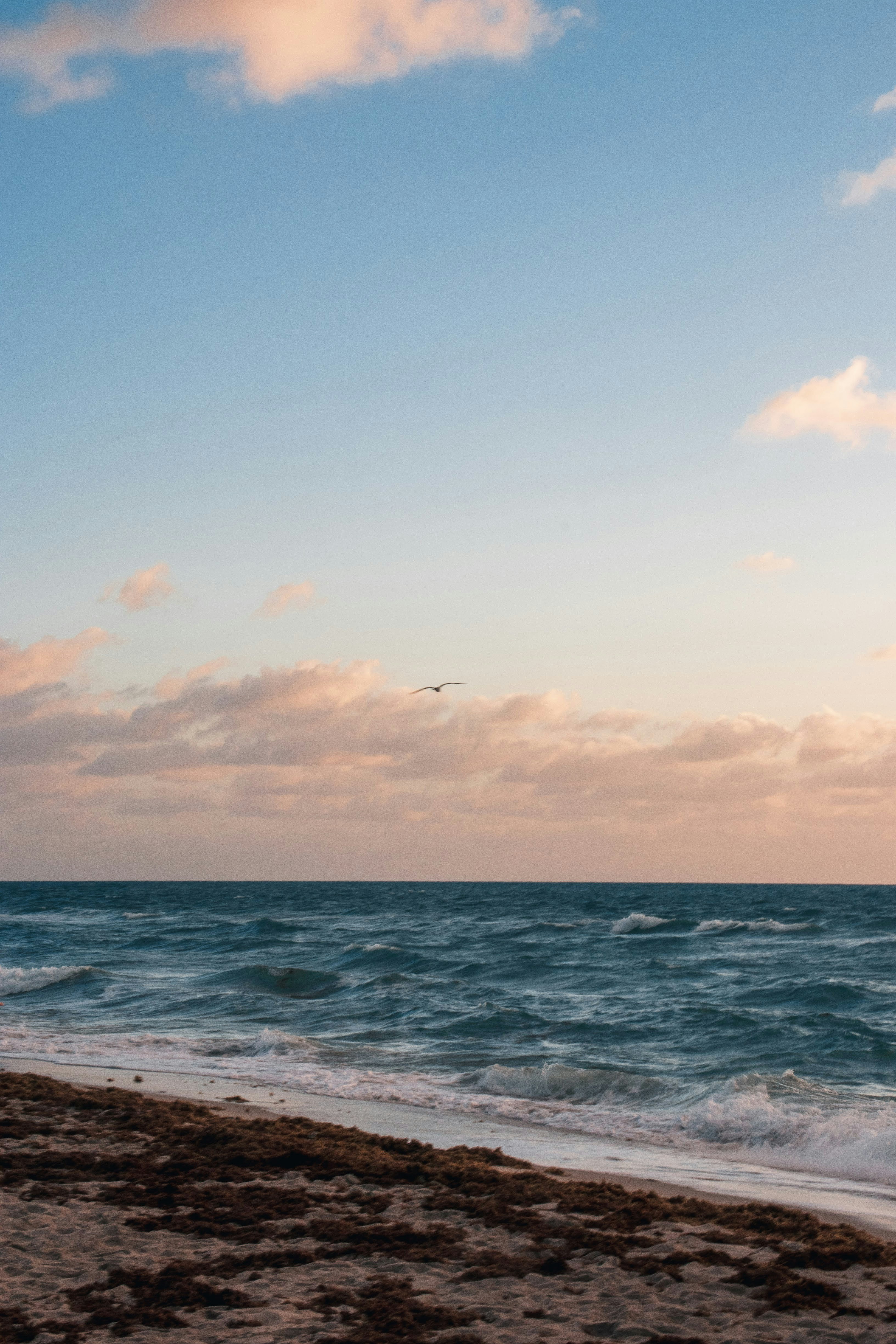 Photo by brice_cooper18