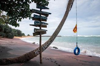 a beach with a sign and a life preserver hanging from a palm tree