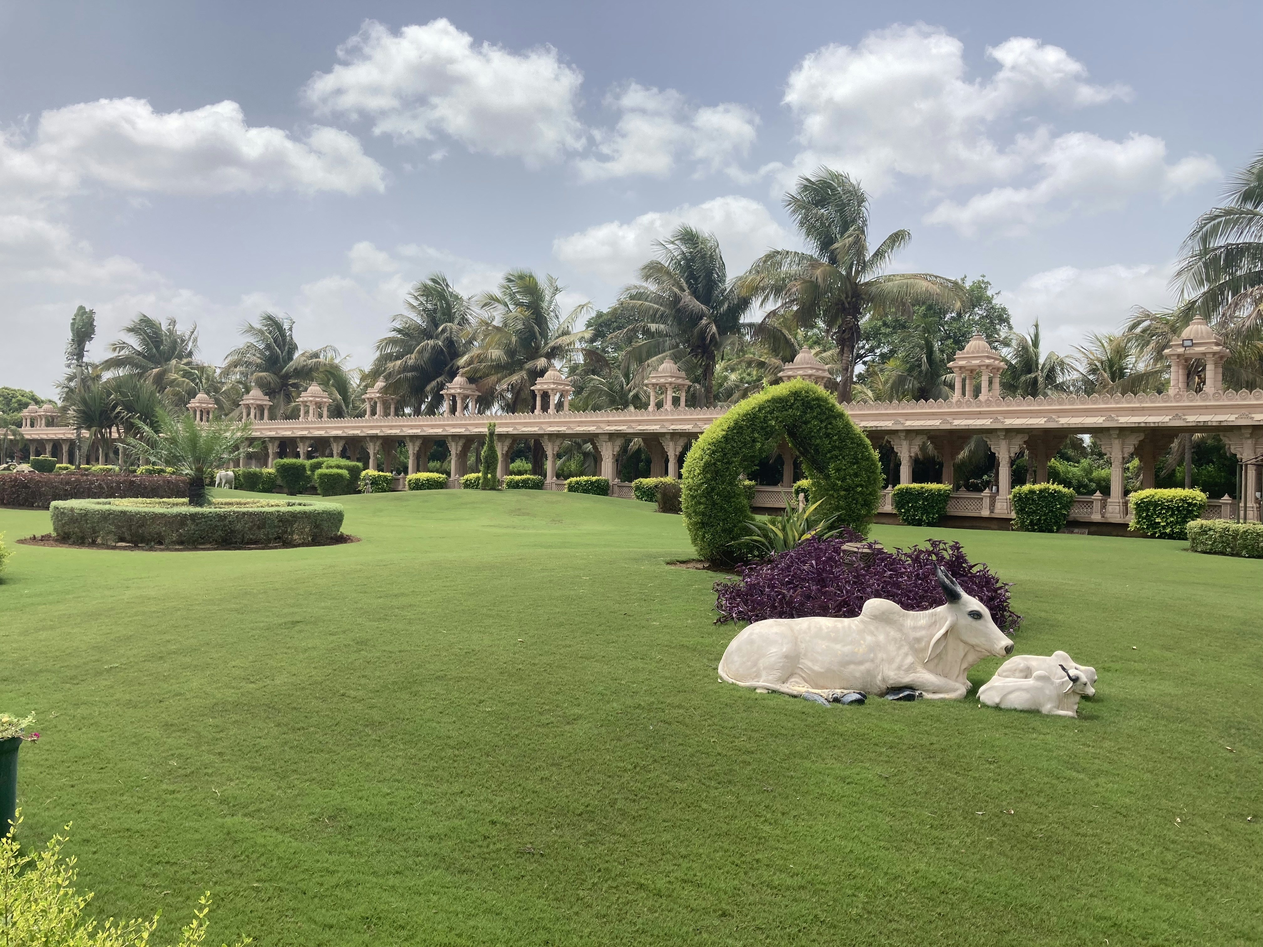 a couple of sheep laying on top of a lush green field