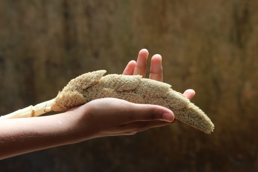 a person holding a piece of bread in their hand