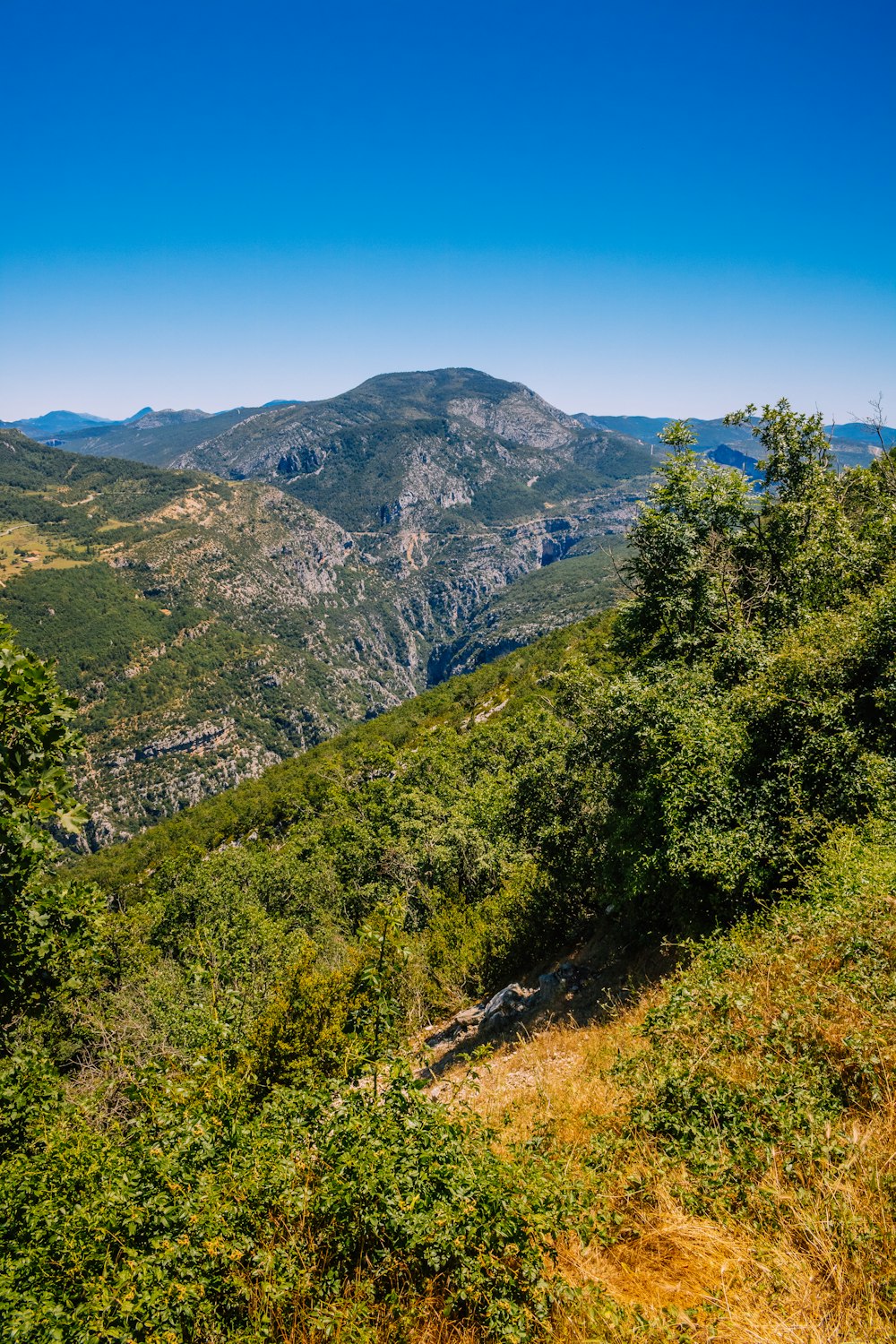 a view of the mountains from the top of a hill