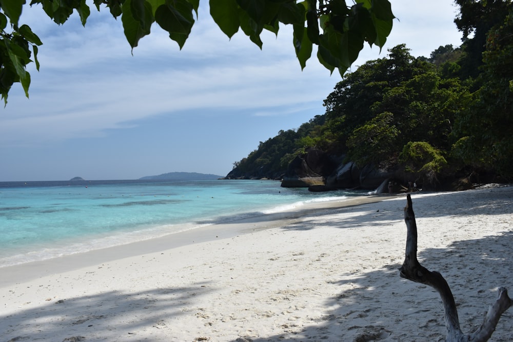 a white sandy beach with clear blue water