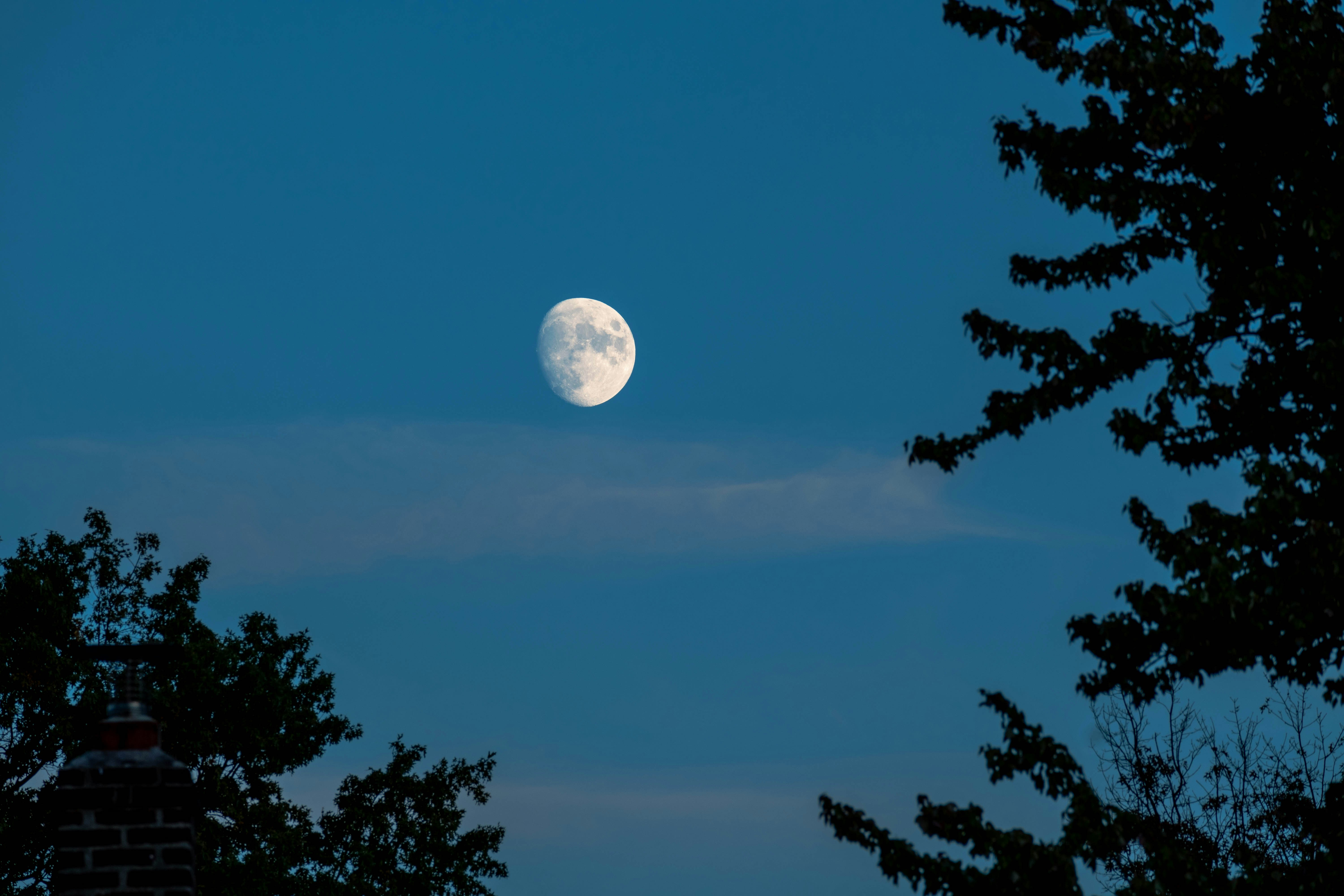 Photo by ucwhphotography