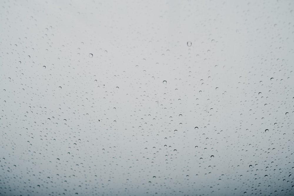 rain drops on the glass of a window