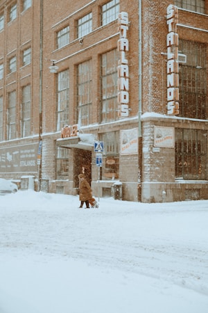 Understanding and Managing a Stan Store: A Comprehensive Guide