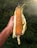 A roasted corn on the cob is being held by a hand. The corn husk is peeled back, revealing the charred and golden kernels. A slice of lemon is placed beside the corn, adding a hint of freshness. The background consists of green grass, creating a natural outdoor setting with sunlight coming from the top right corner.