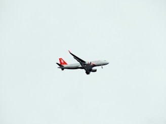 A commercial airplane is flying against a clear, pale sky. The aircraft has red markings on its tail and wings, and the logo on the tail is visible. It appears to be cruising at a high altitude.