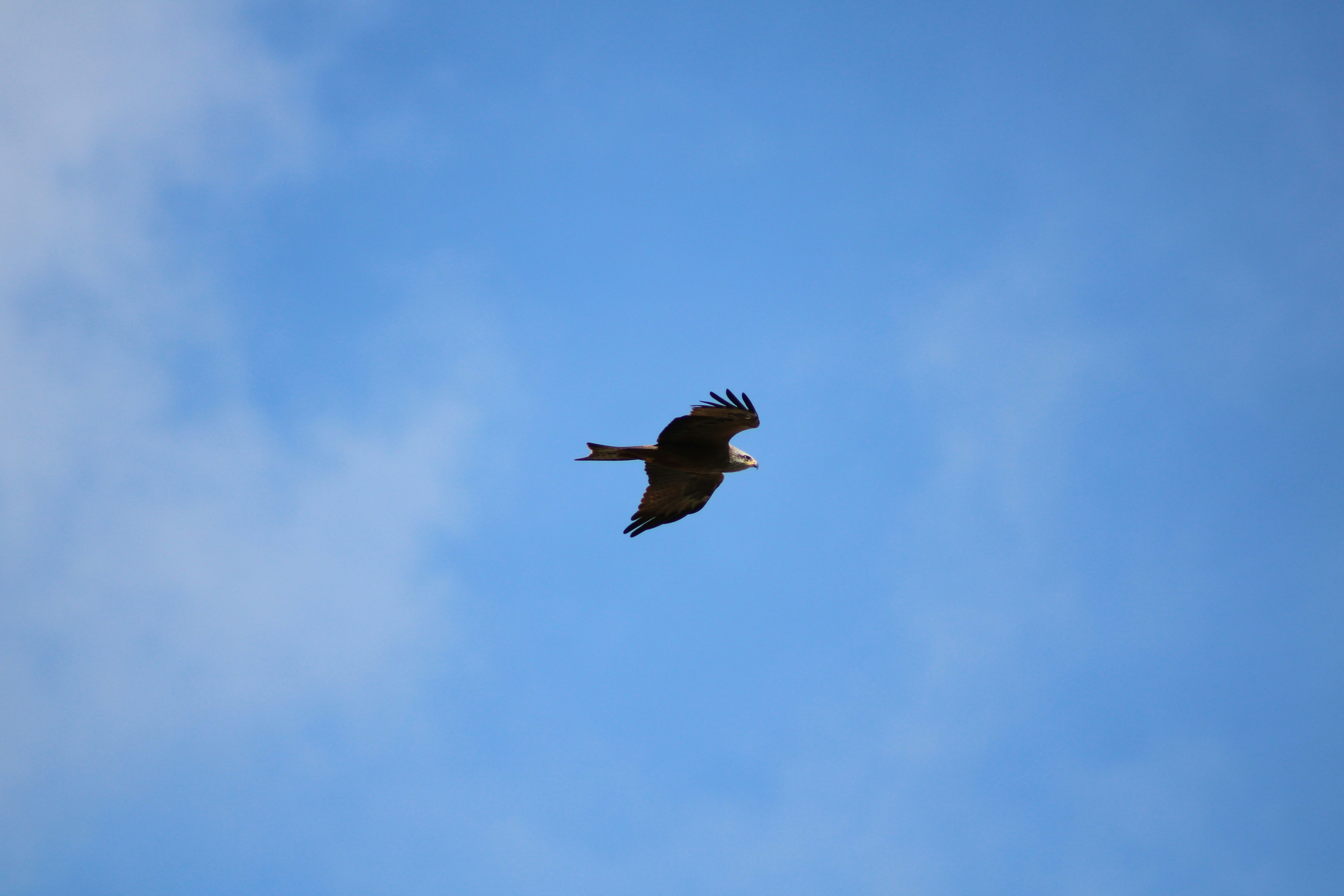 Photo by lucasarroyo