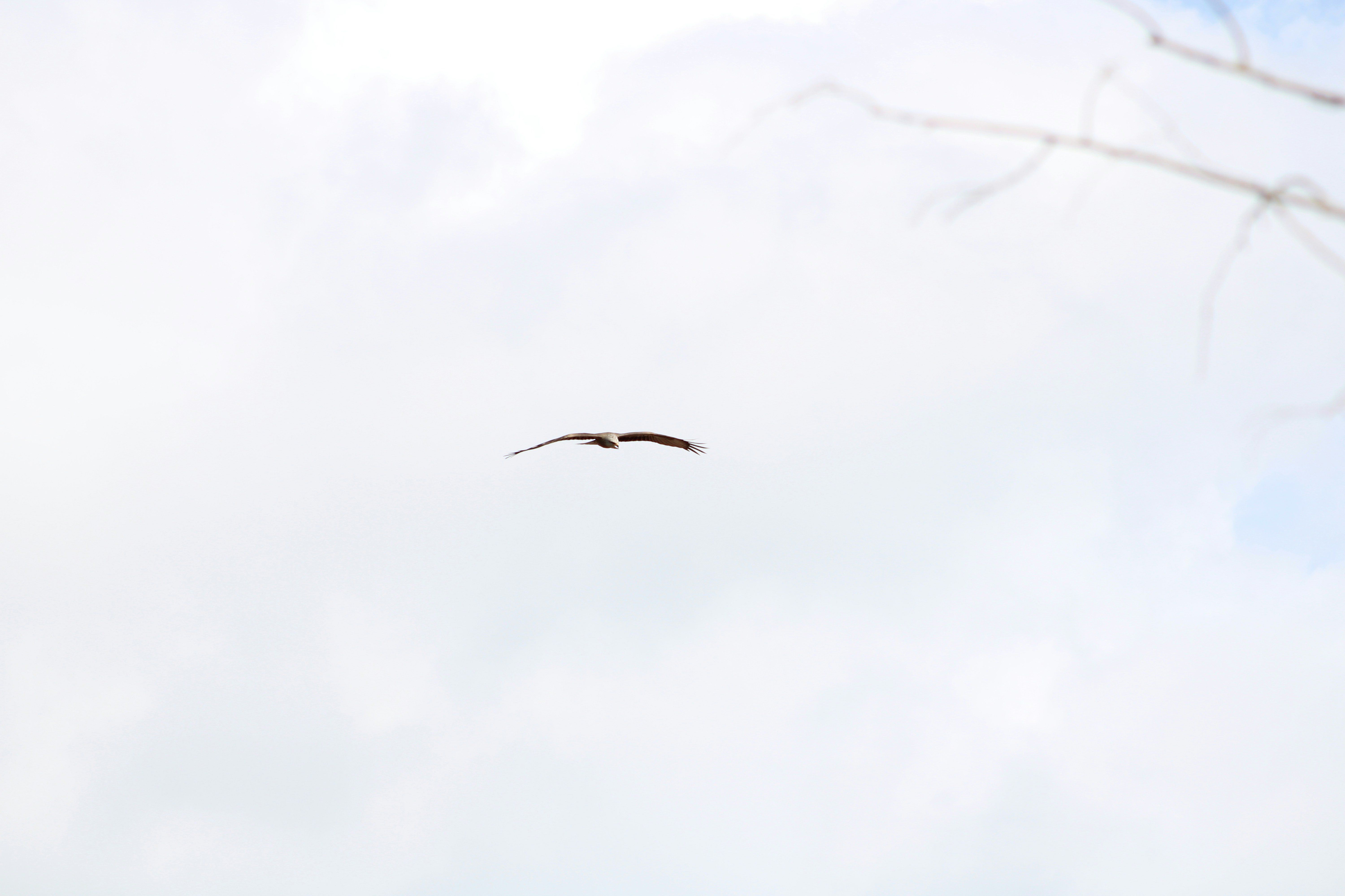 Photo by lucasarroyo