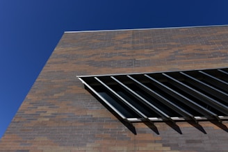 Custom metal security bars installed on a modern building facade.
