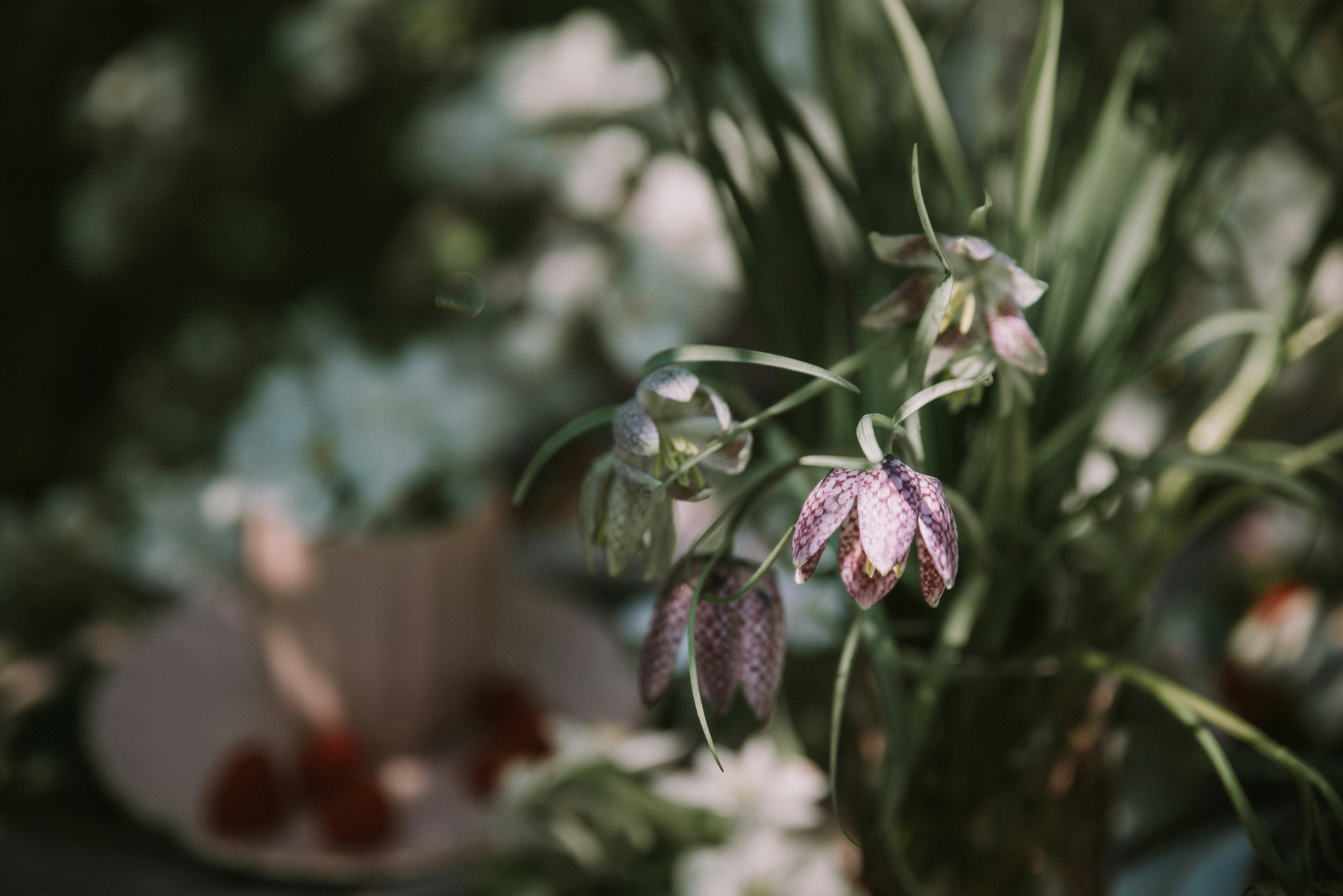 Photo by anitaaustvika
