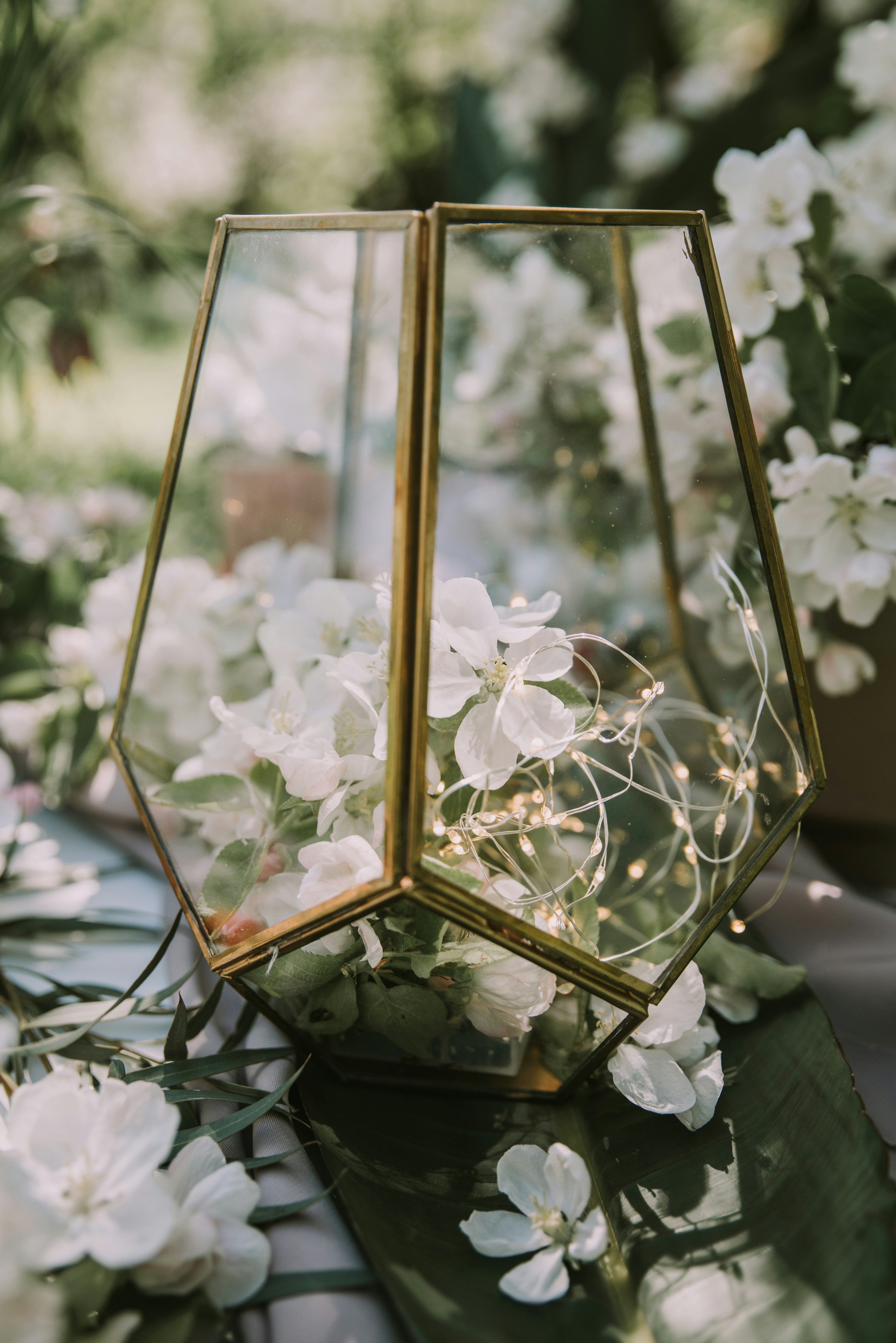 Photo by anitaaustvika