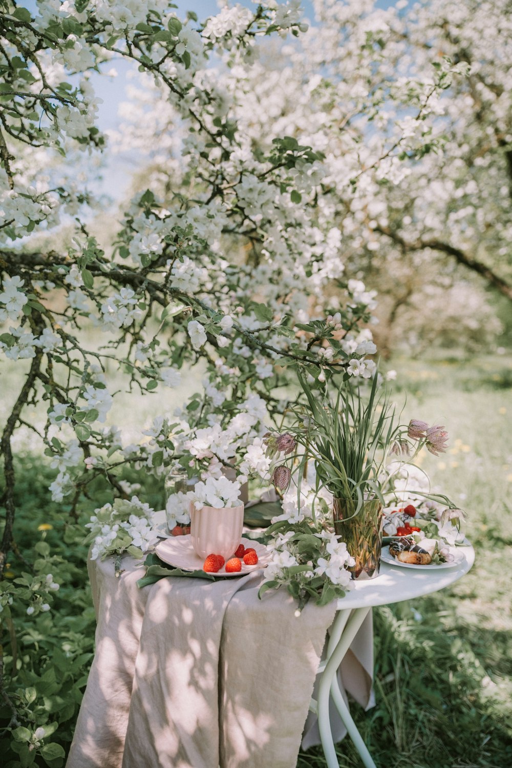 a table topped with plates of food under a tree